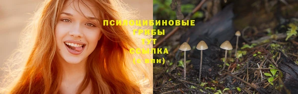 дмт Богородск