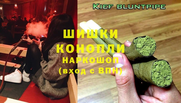 СК Богородицк