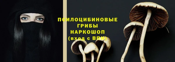 дмт Богородск