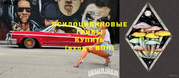 спайс Богданович