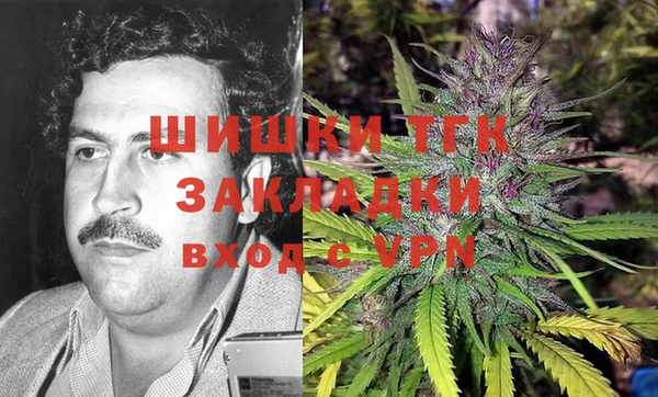 спайс Богданович