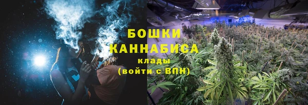 СК Богородицк