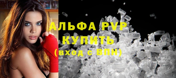 спайс Богданович