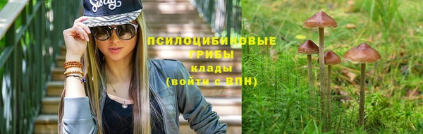 СК Богородицк