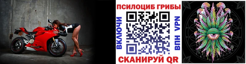 Галлюциногенные грибы Magic Shrooms  сколько стоит  Кущёвская 